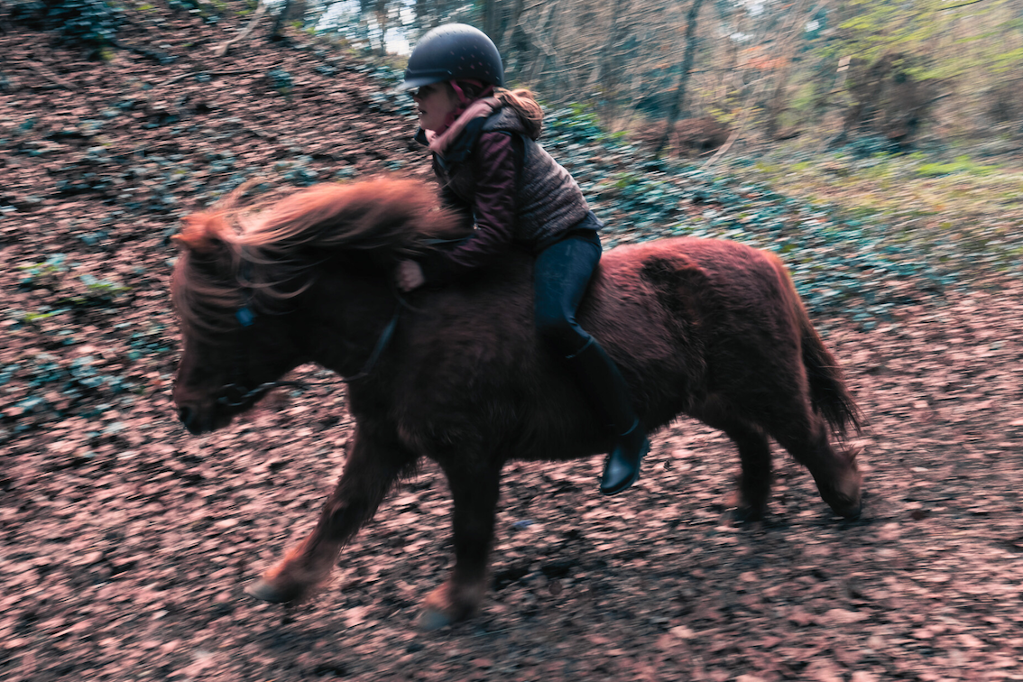 Balade à poney en soous-bois